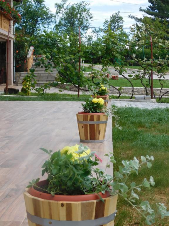 גרבובץ Guesthouse Sara מראה חיצוני תמונה